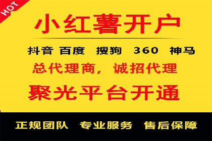 SEM运营公司成功案例解析